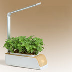 Smart Indoor Hydroponic Plant Grower with LED Lights