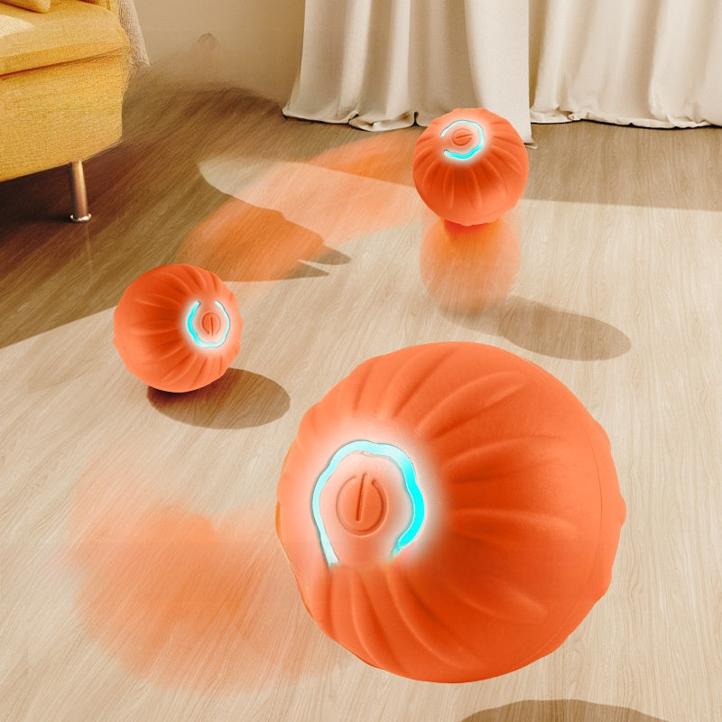 Electric pet toys