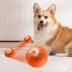 Electric pet toys