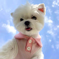 Striped Pet Polo Shirt for Small Dogs and Cats