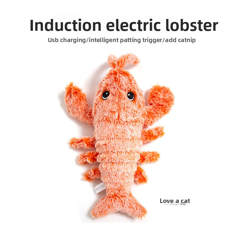 Interactive Electric Pet Toy