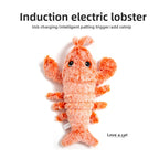 Interactive Electric Pet Toy
