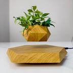 Magnetic Levitation Floating Flower Pot Decor