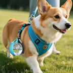 Foldable Pet Water Bottle Outdoor Portable Dispenser