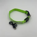 Adjustable LED Light Up Pet Collar