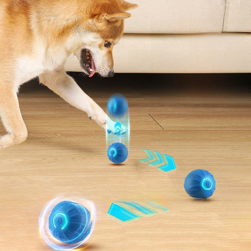 Electric pet toys