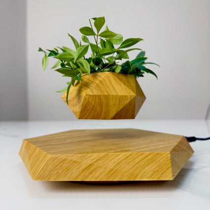 Magnetic Levitation Floating Flower Pot Decor