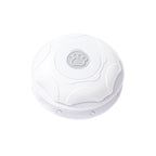 Electric Pet Toy