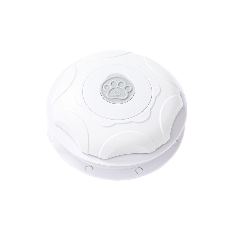 Electric Pet Toy