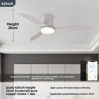 Modern Ceiling Fan with Light and Remote Control
