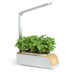 Smart Indoor Hydroponic Plant Grower with LED Lights