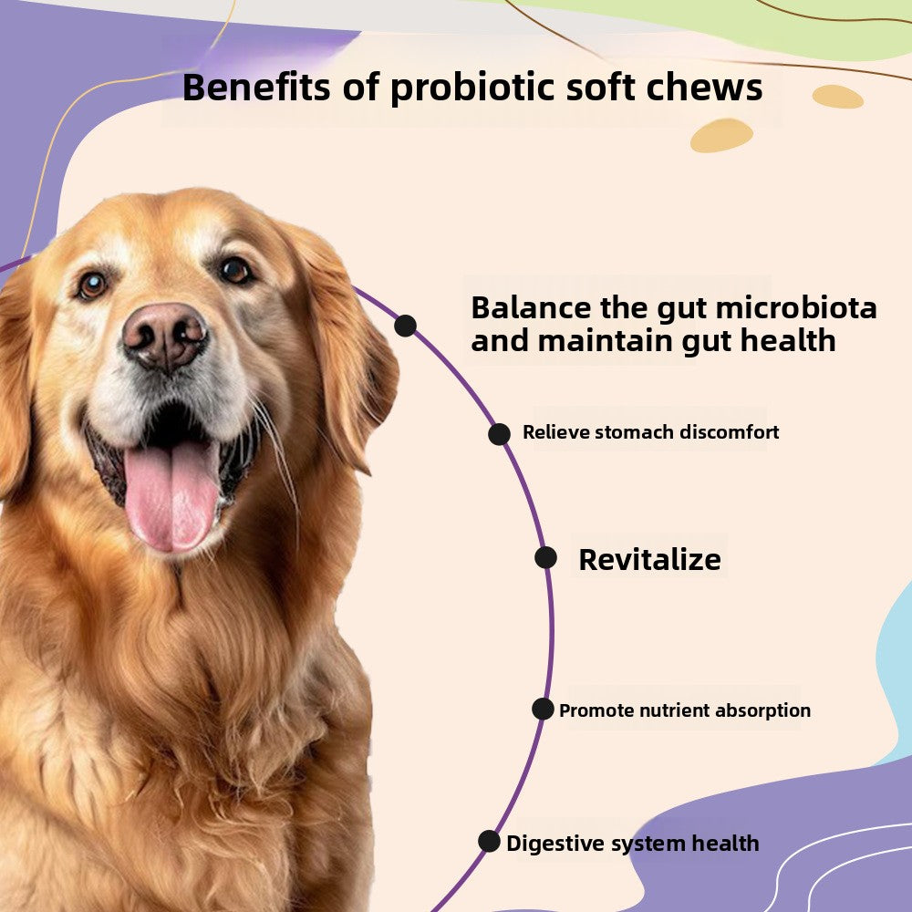 Pet Probiotic Supplements