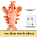 Interactive Electric Pet Toy