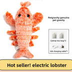 Interactive Electric Pet Toy