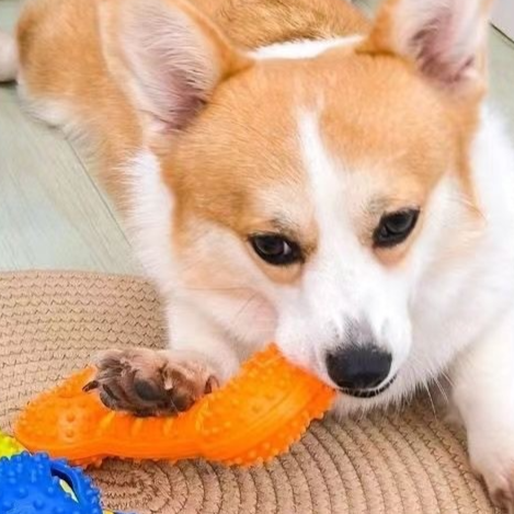 Pet toy for teeth grinding