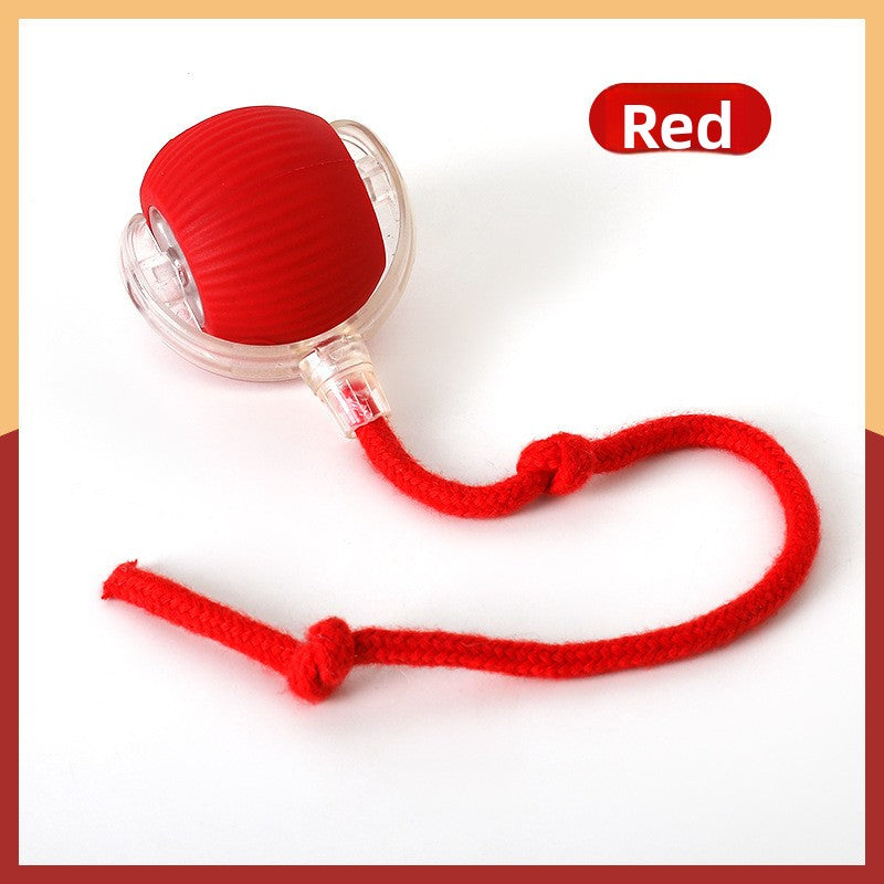 Cat Toy Ball Silicone Pet Entertainment Ball for Cats and Dogs