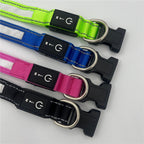 Adjustable LED Light Up Pet Collar