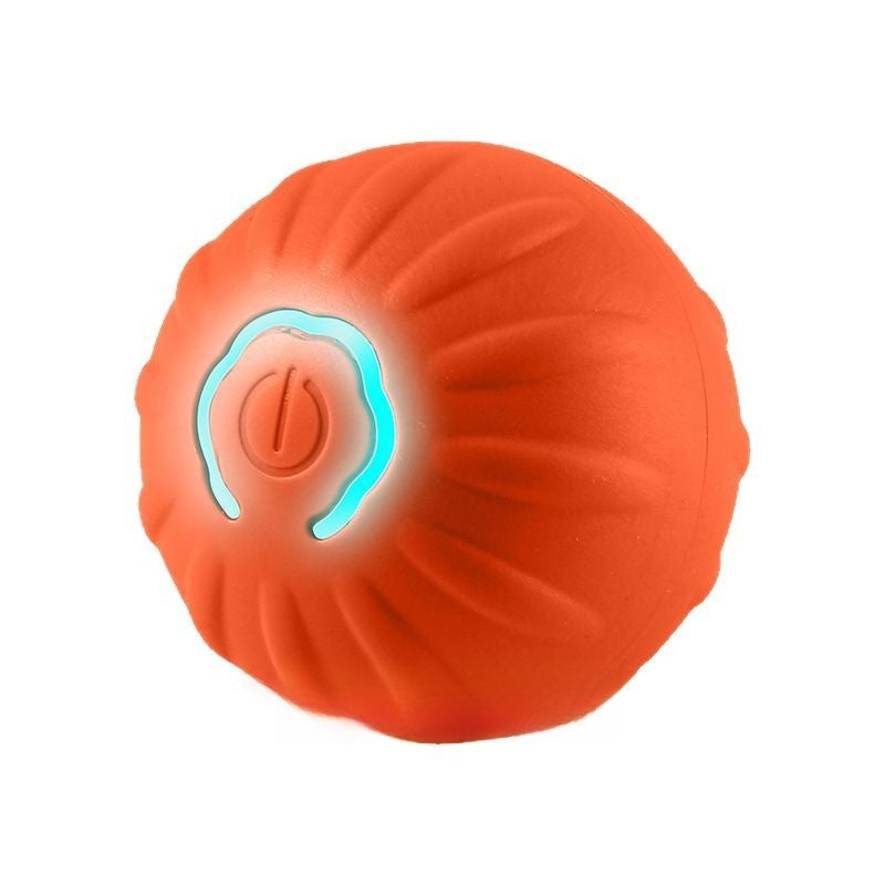 Electric pet toys