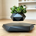 Magnetic Levitation Floating Flower Pot Decor