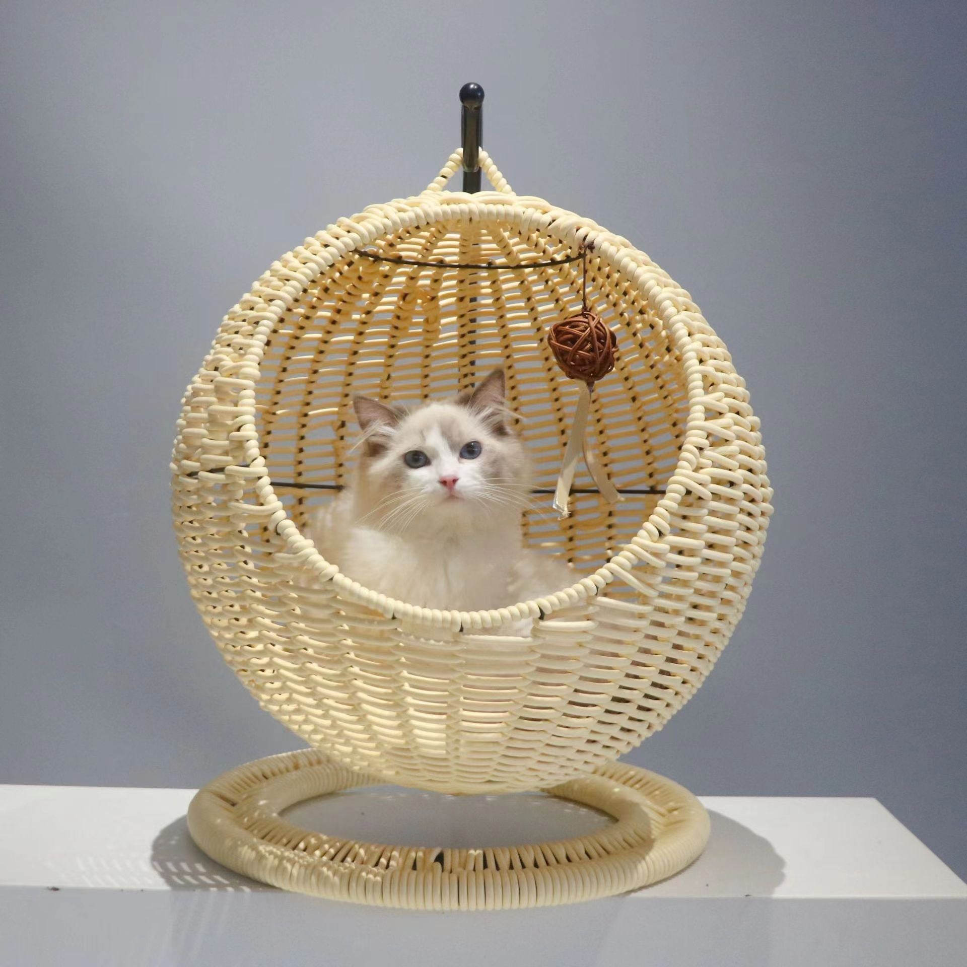 Semi-Enclosed Pet Hammock Cat Bed, Rattan Hanging Basket for Cats